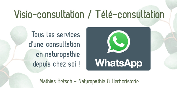 consultation à distance en naturopathie avec whatsapp