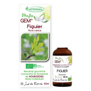 Phyto Gem Figuier 40 ml