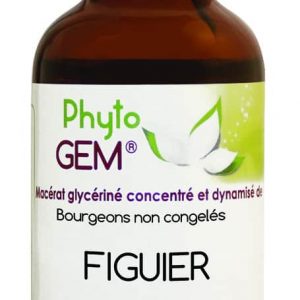 Phyto Gem Figuier 40 ml
