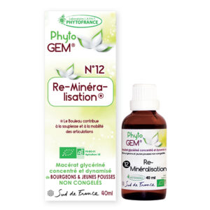 Phyto Gem Re-minéralisant 40 ml