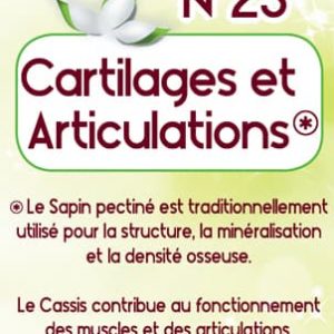 Phyto Gem Cartilages & Articulations 40 ml