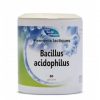 Ferments lactiques - Bacillus acidophilus 60 gélules