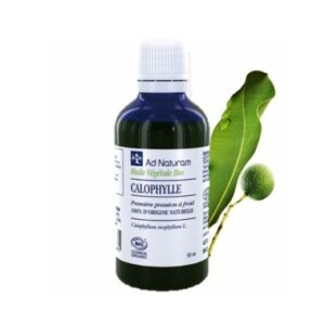 Calophylle Bio – Huile végétale 50 ml