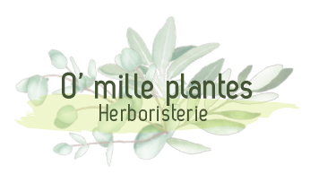 Logo - O mille plantes Herboristerie