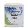 Ferments lactiques - Bacillus junior 60 gélules