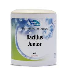 Ferments lactiques – Bacillus junior 60 gélules