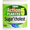 Sugar'cholest - Gélules 5 plantes