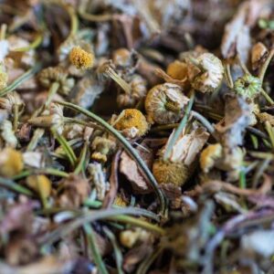 Tisane L'hépatante bio - drainante du foie