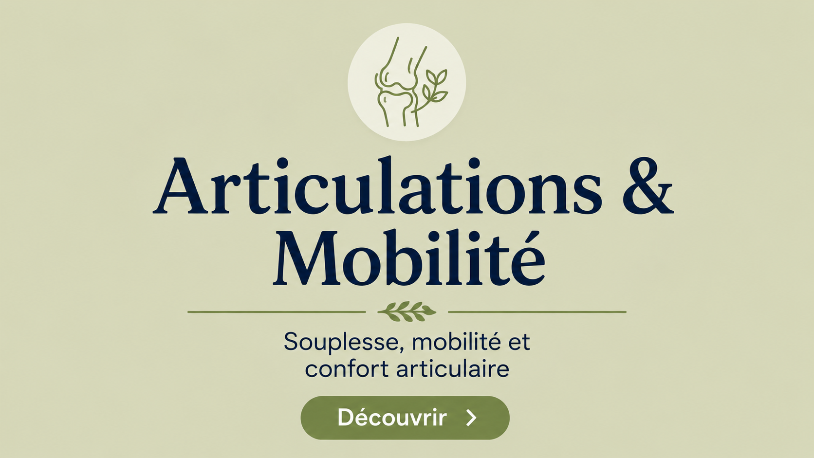 Os, articulations et muscles