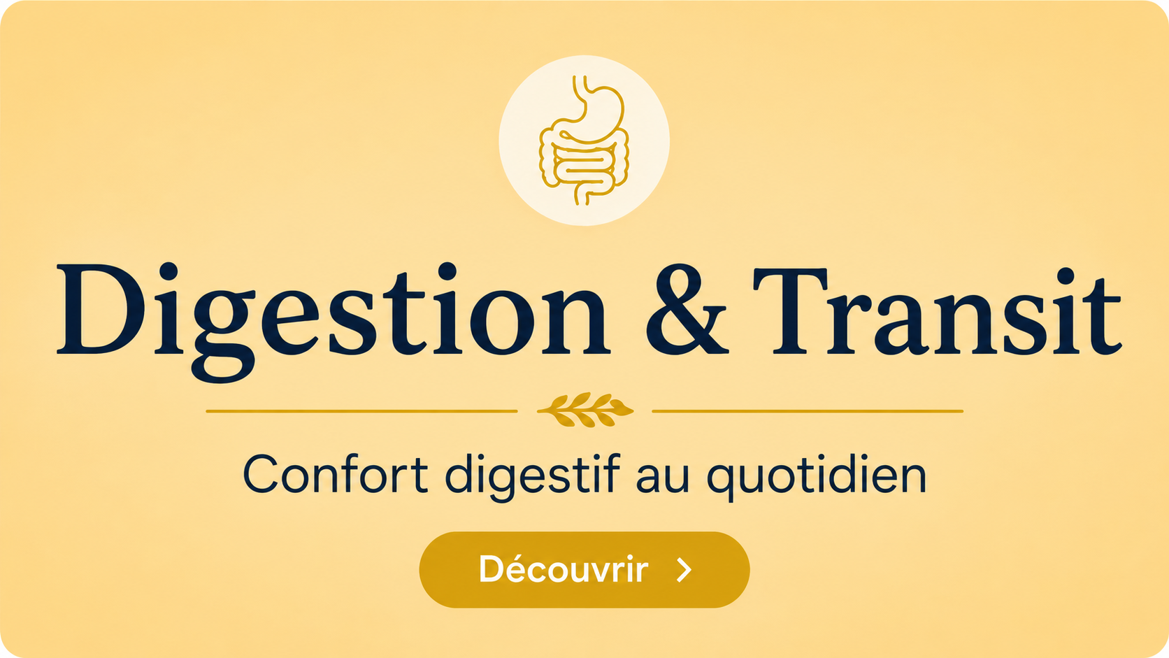 Foie, digestion et transit